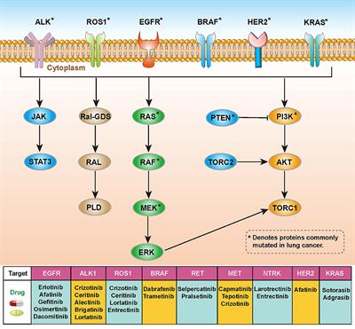 Multi-Omics Integrative Analysis of Lung Adenocarcinoma: An in silico Profiling for Precise Medicine